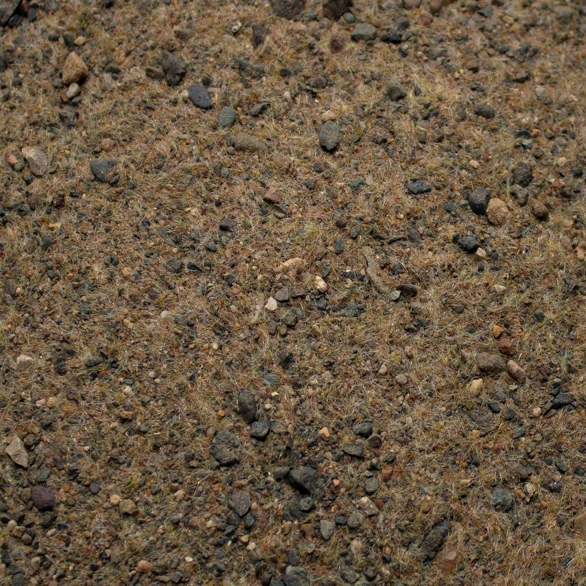 Base Ready Winter Tundra — texture close-up