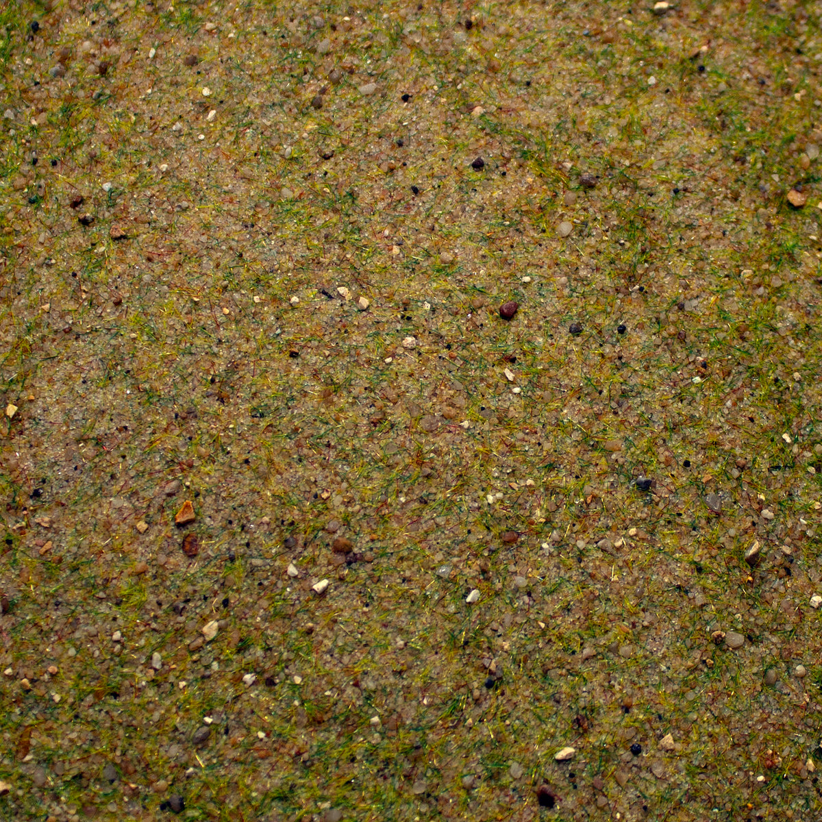 Mediterranean Soil Small Scale basing mix — texture close-up