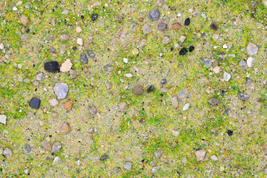 Base Ready Mediterranean Soil — scenic modelling example