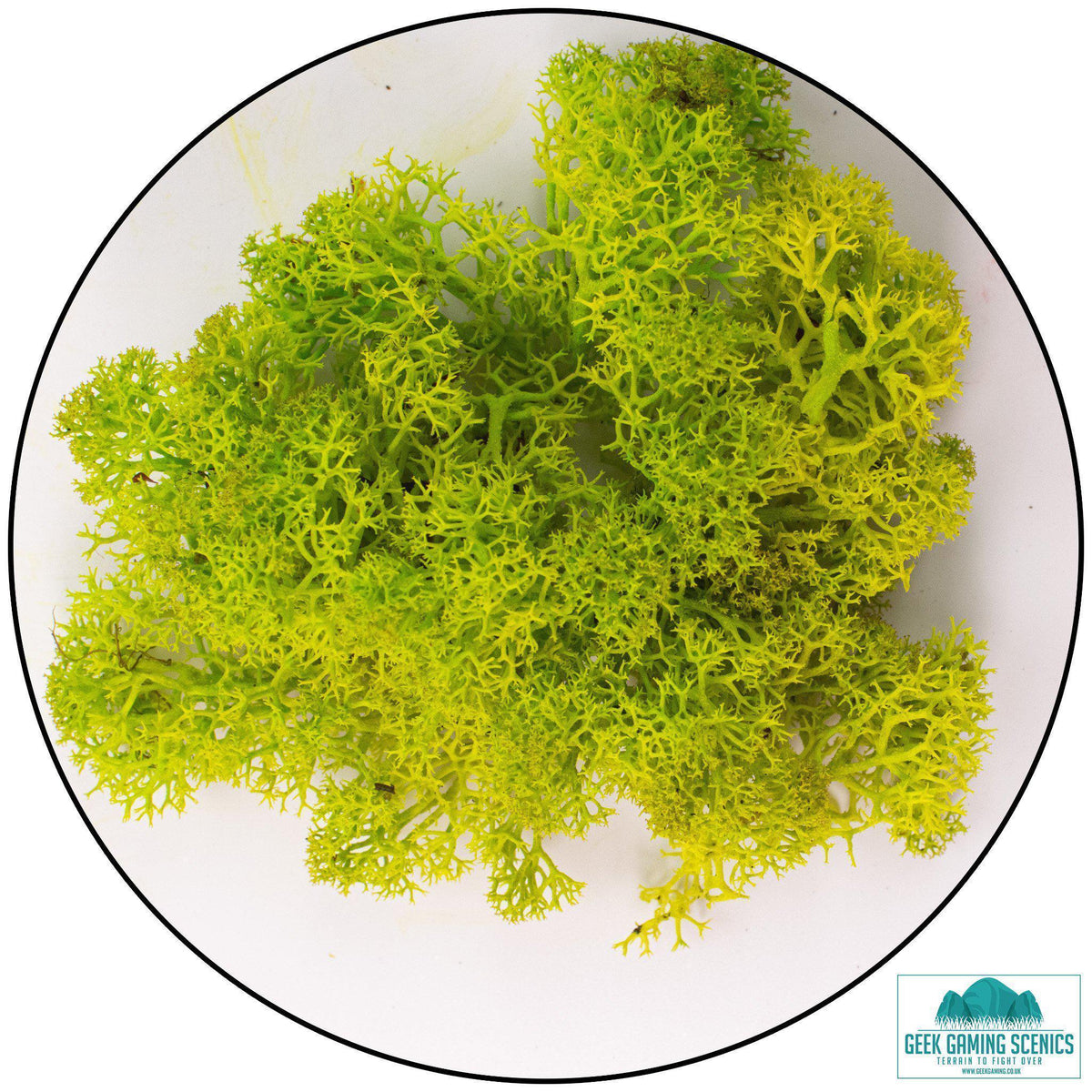 - Lichen - Geek Gaming Scenics - Geek Gaming Scenics