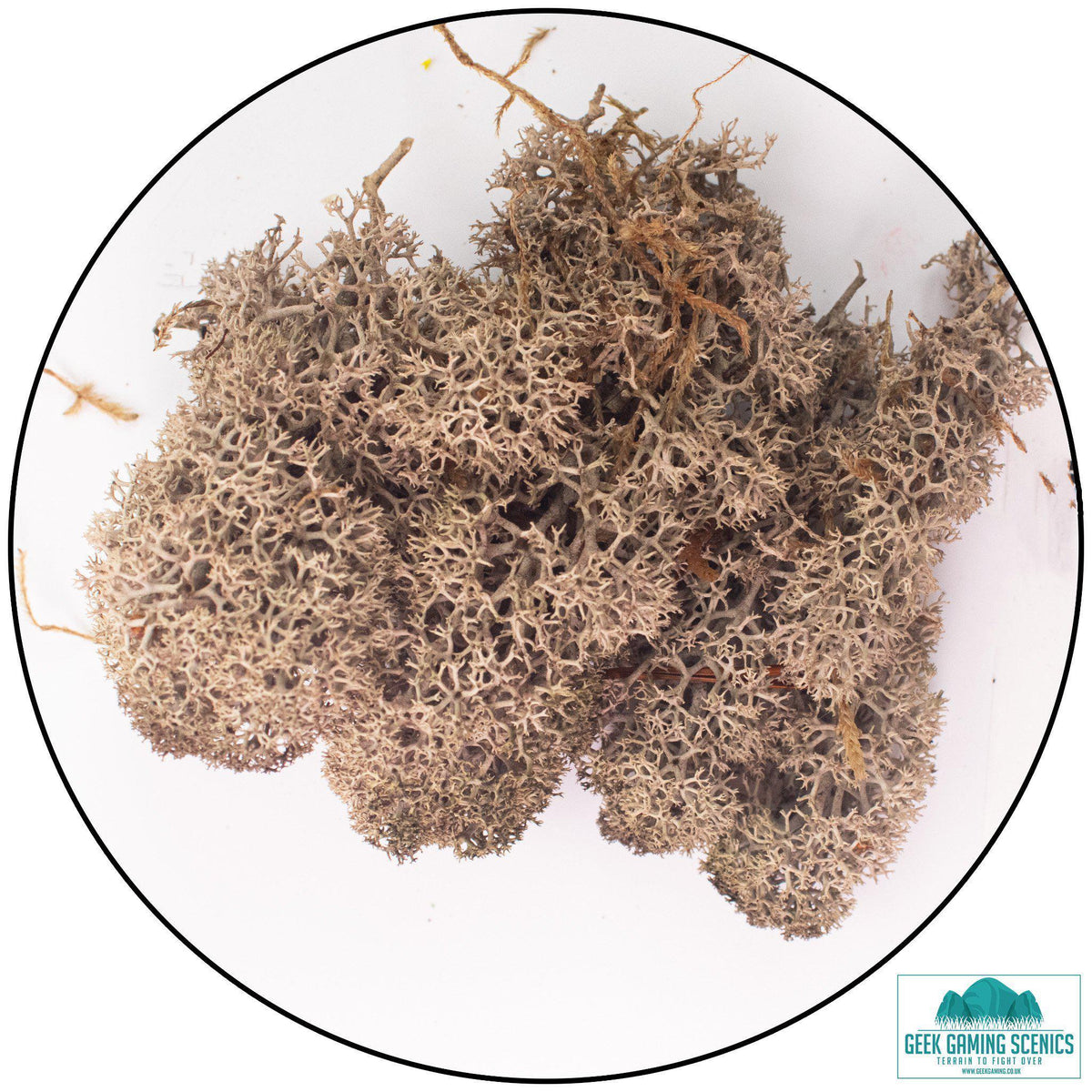 Lichen - Reindeer Moss (Icelandic Moss) Brown - Lichen - Geek Gaming Scenics - Geek Gaming Scenics