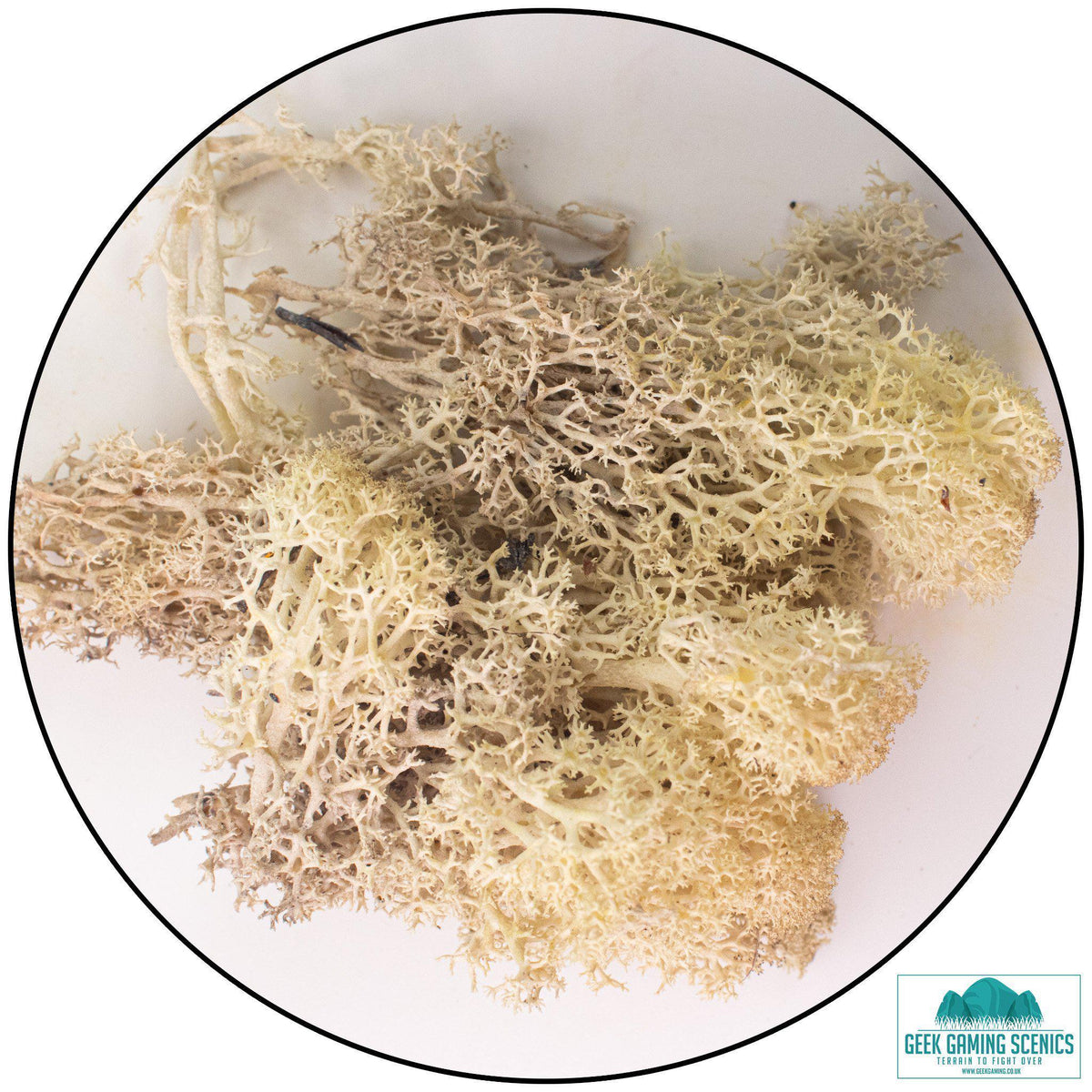 Lichen - Reindeer Moss (Icelandic Moss) Misty White - Lichen - Geek Gaming Scenics - Geek Gaming Scenics