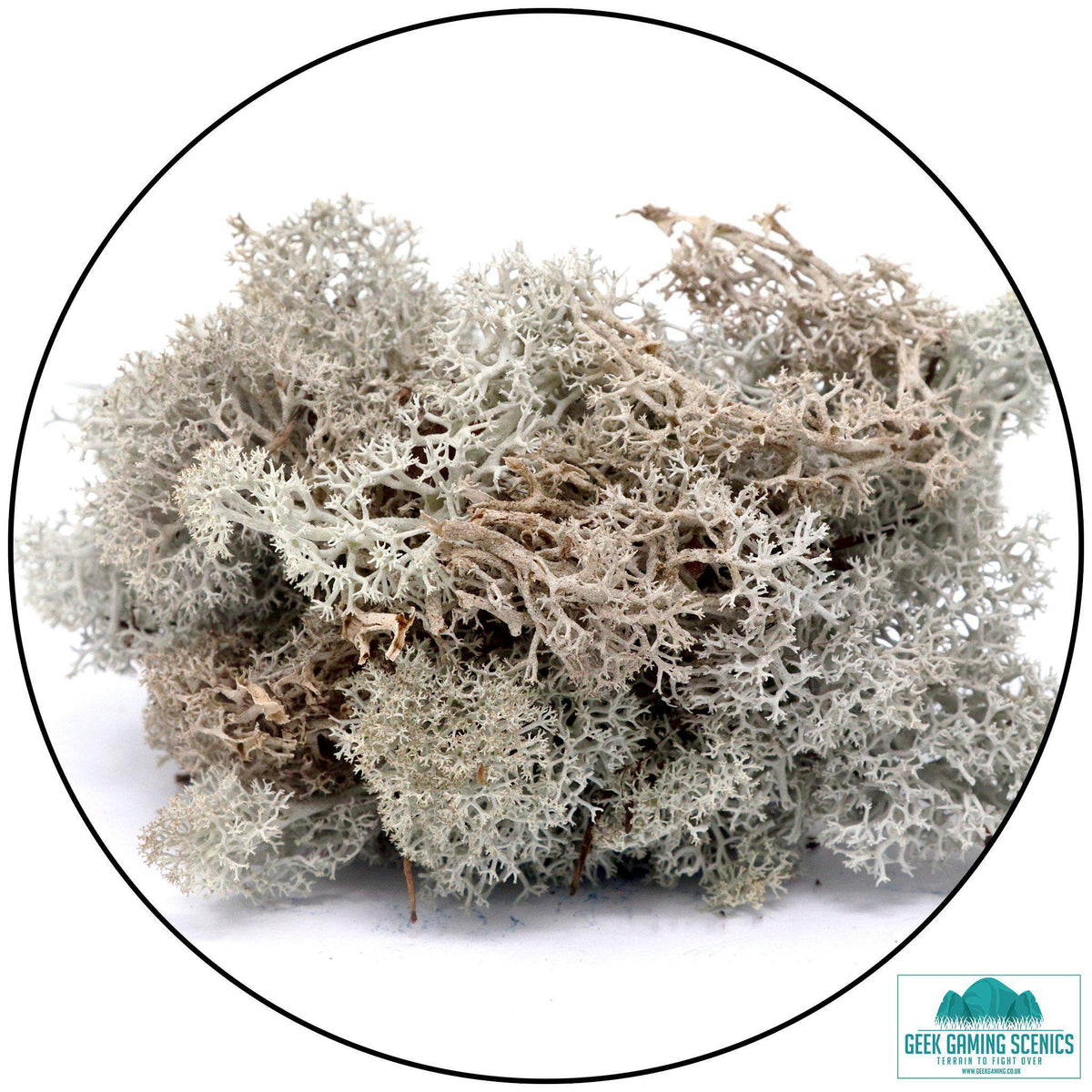 Lichen - Reindeer Moss (Icelandic Moss) Natural - Lichen - Geek Gaming Scenics - Geek Gaming Scenics