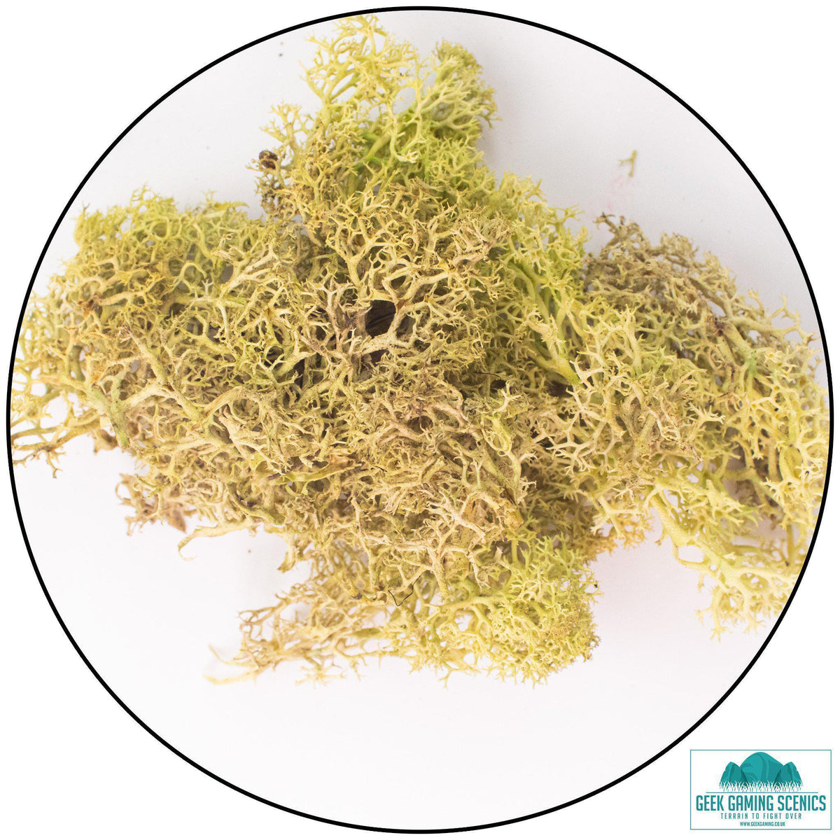 - Lichen - Geek Gaming Scenics - Geek Gaming Scenics