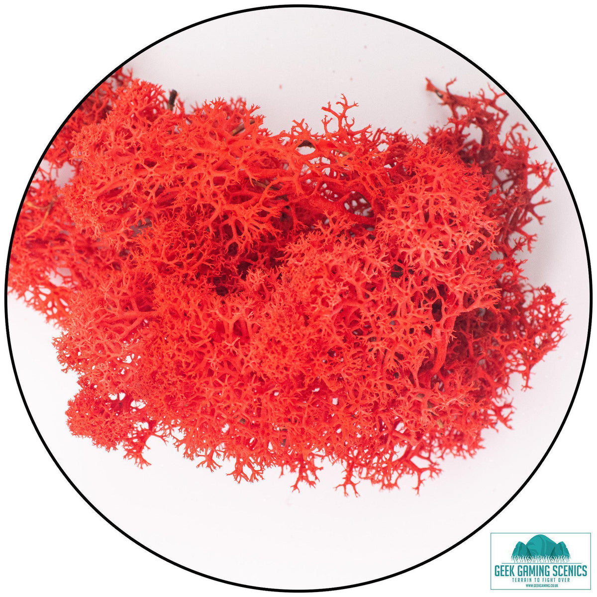 Lichen - Reindeer Moss (Icelandic Moss) Red - Lichen - Geek Gaming Scenics - Geek Gaming Scenics
