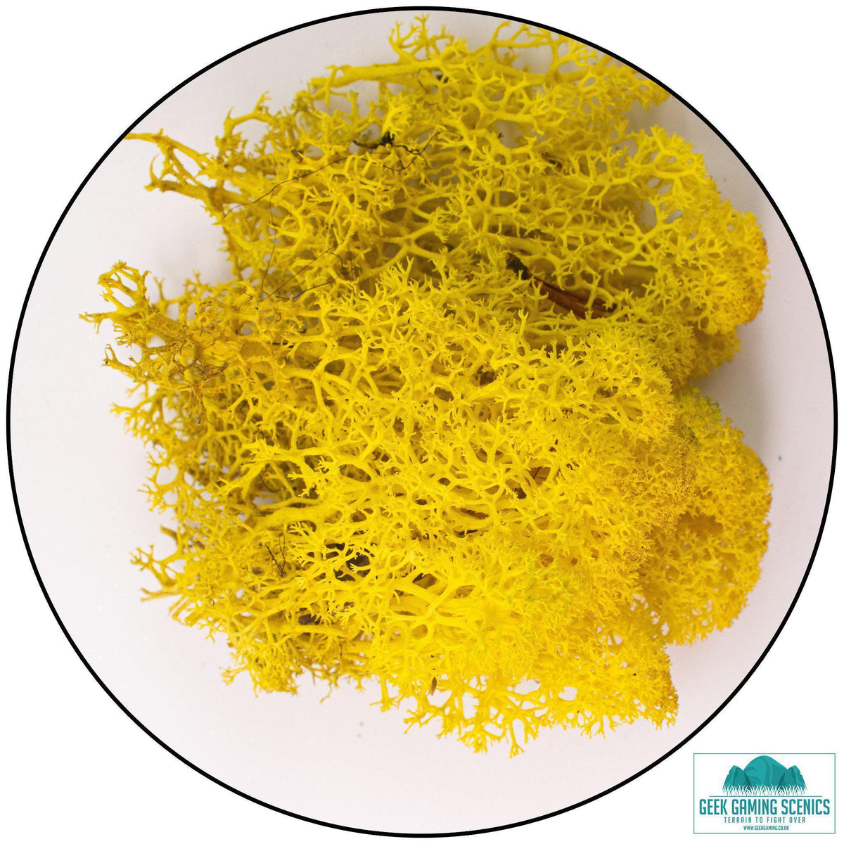 - Lichen - Geek Gaming Scenics - Geek Gaming Scenics
