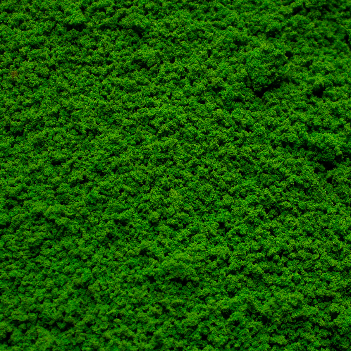 Coarse Flock - Woodland Fern Light Green — texture close-up
