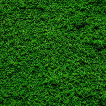 Coarse Flock - Woodland Fern Light Green — texture close-up