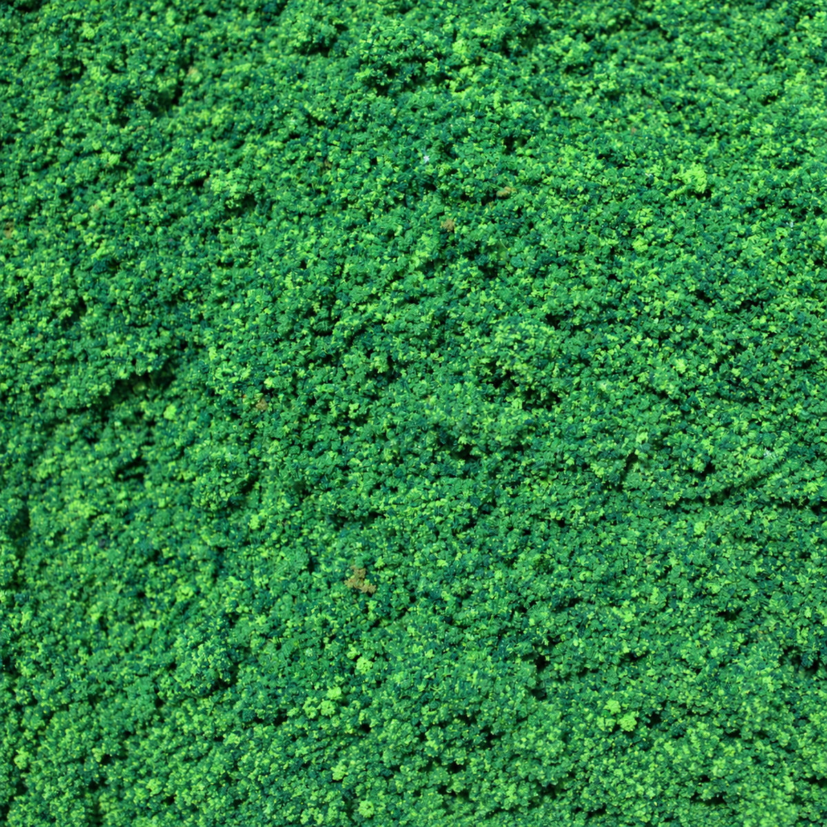 Coarse Flock - Woodland Fern Green Blend