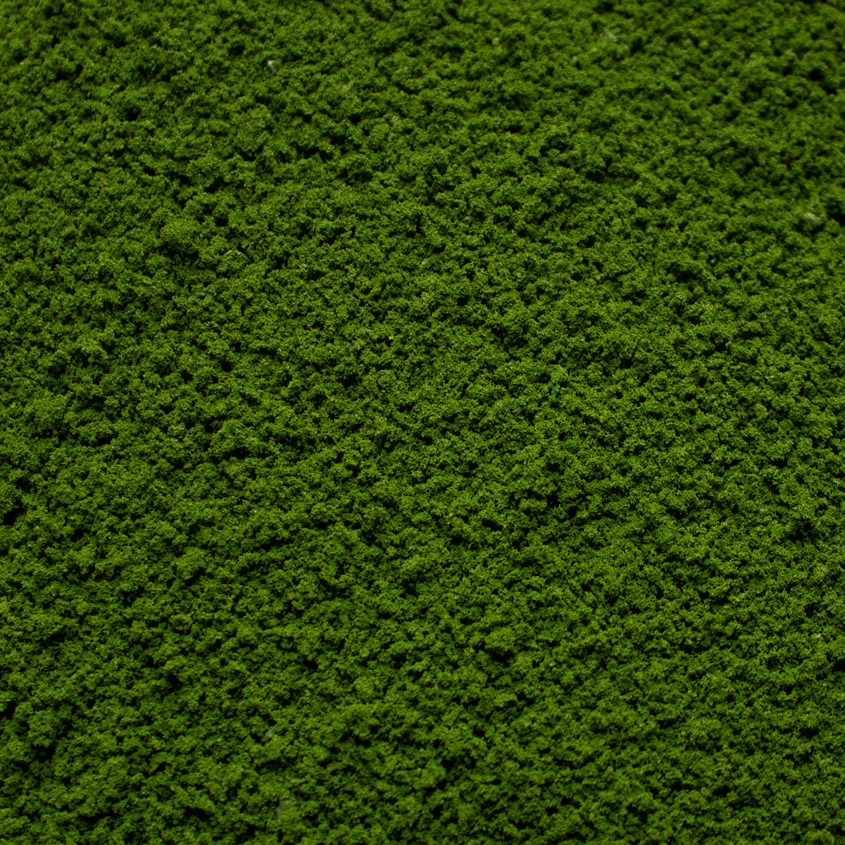 Coarse Flock - Soft Moss — texture close-up