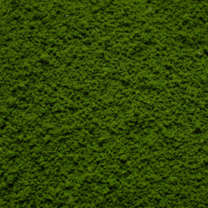 Coarse Flock - Soft Moss — texture close-up