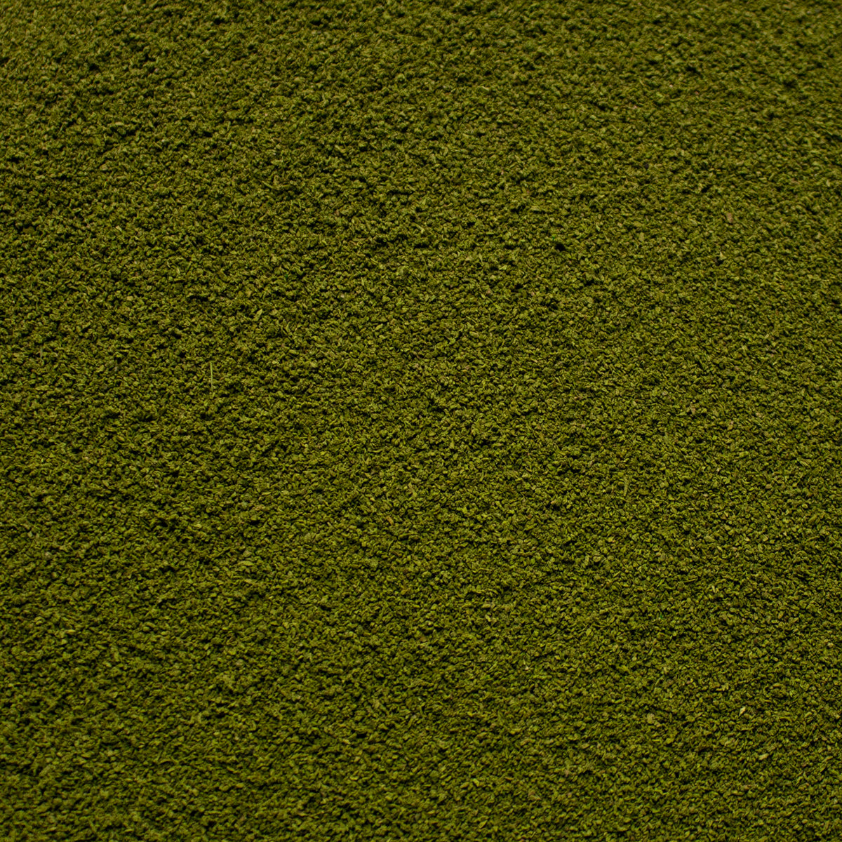 Fine Flock - Soft Moss — texture close-up
