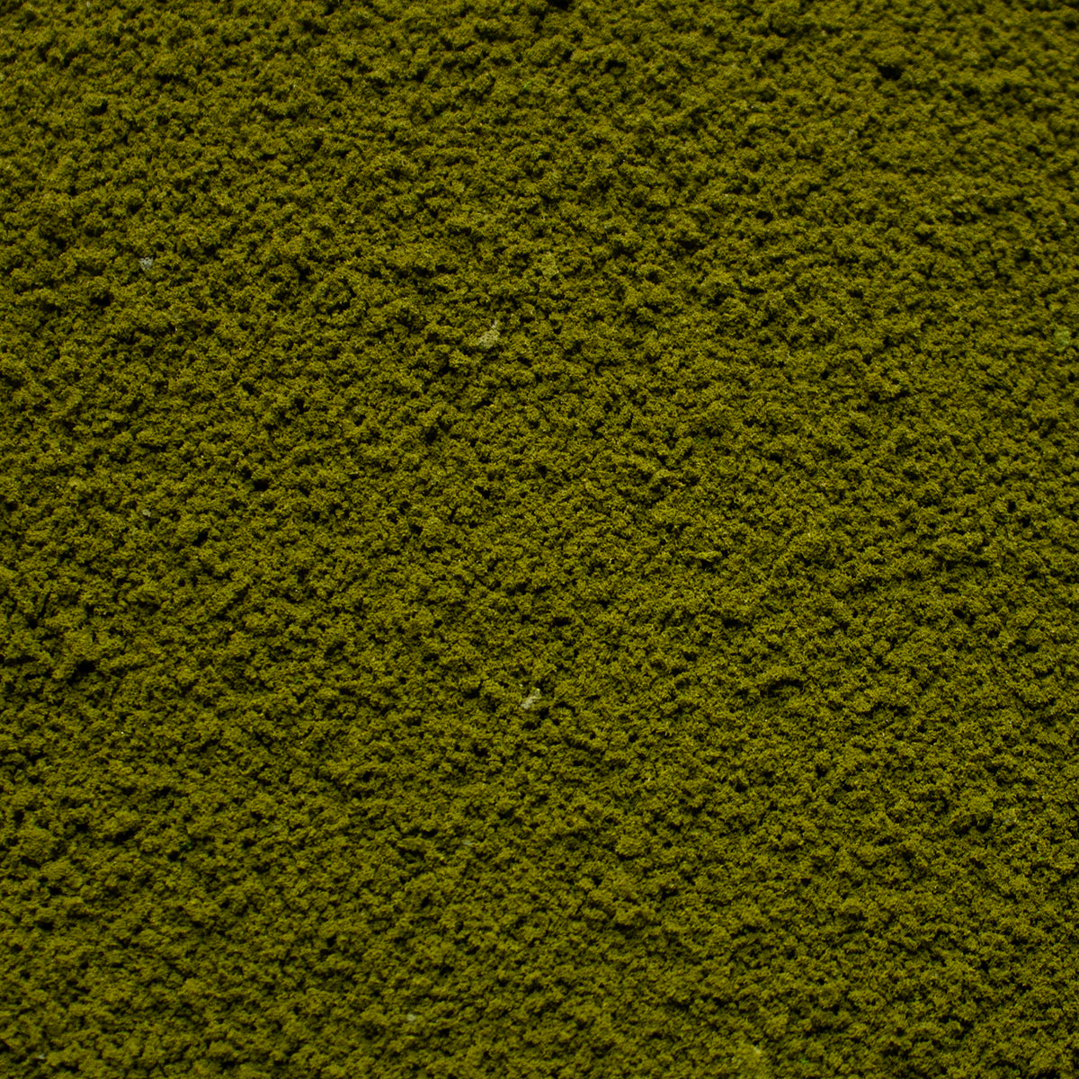 Coarse Flock - Forest Lake — texture close-up