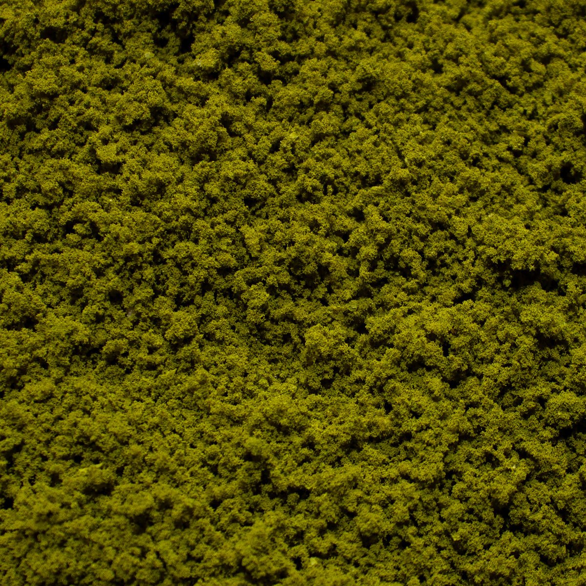 Coarse Flock - Mountain Moss — texture close-up