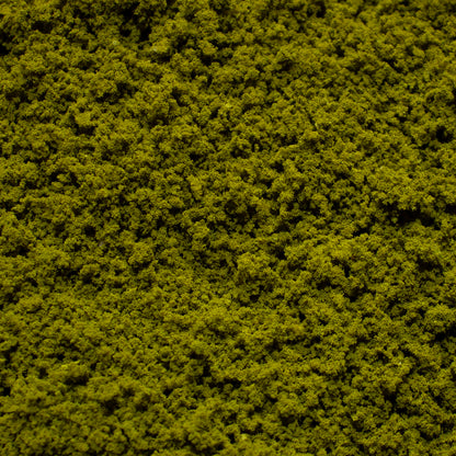 Coarse Flock - Mountain Moss — texture close-up