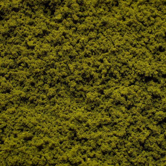 Coarse Flock - Mountain Moss — texture close-up