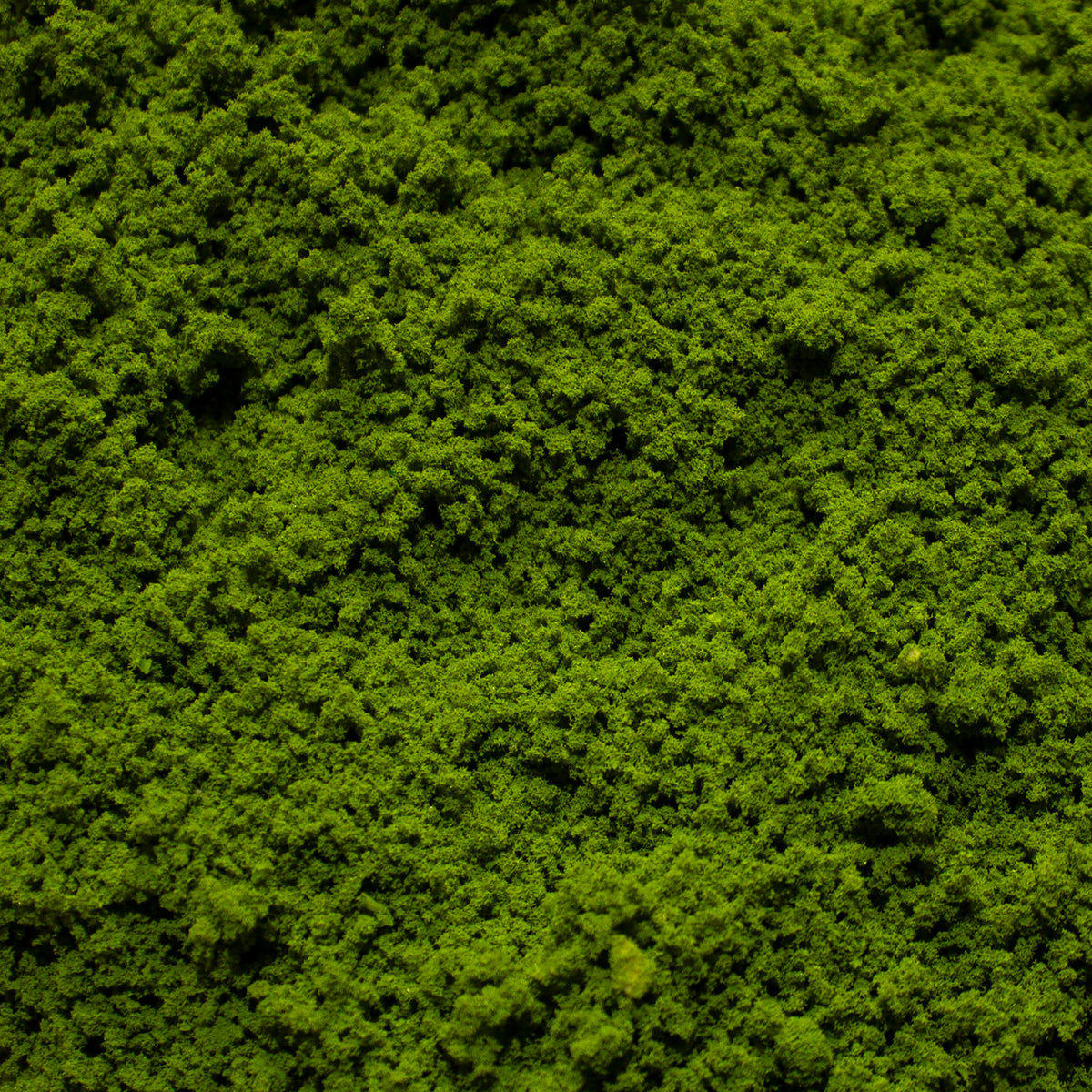 Coarse Flock - Rainforest Canopy — texture close-up