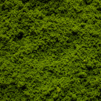 Coarse Flock - Rainforest Canopy — texture close-up