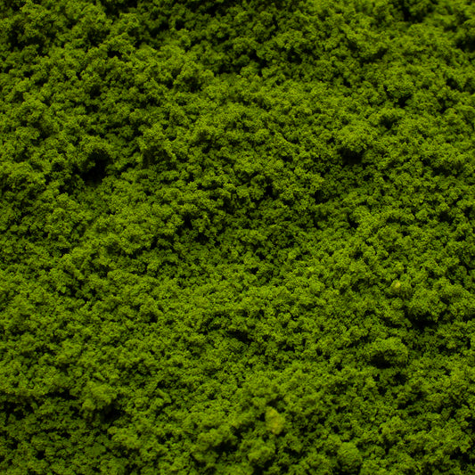 Coarse Flock - Rainforest Canopy — texture close-up