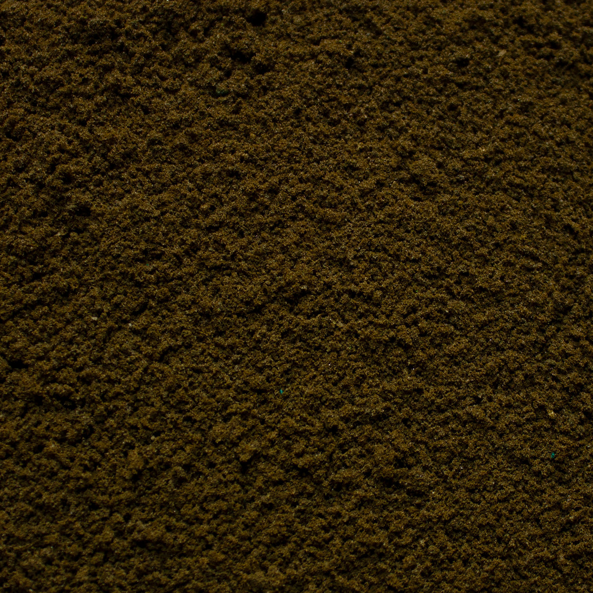 Coarse Flock - Burnt Grass — texture close-up
