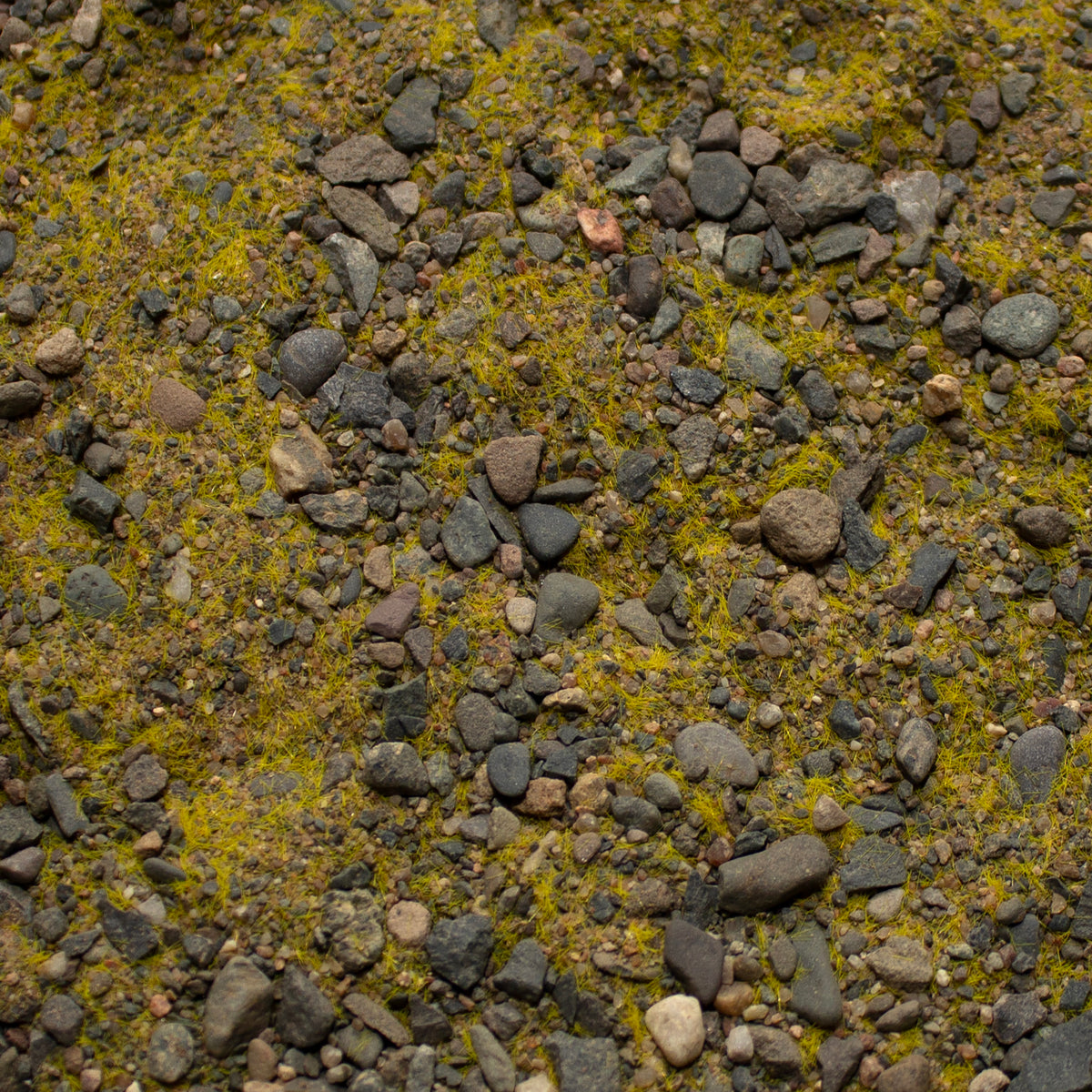 Base Ready Arid Grasslands — texture close-up