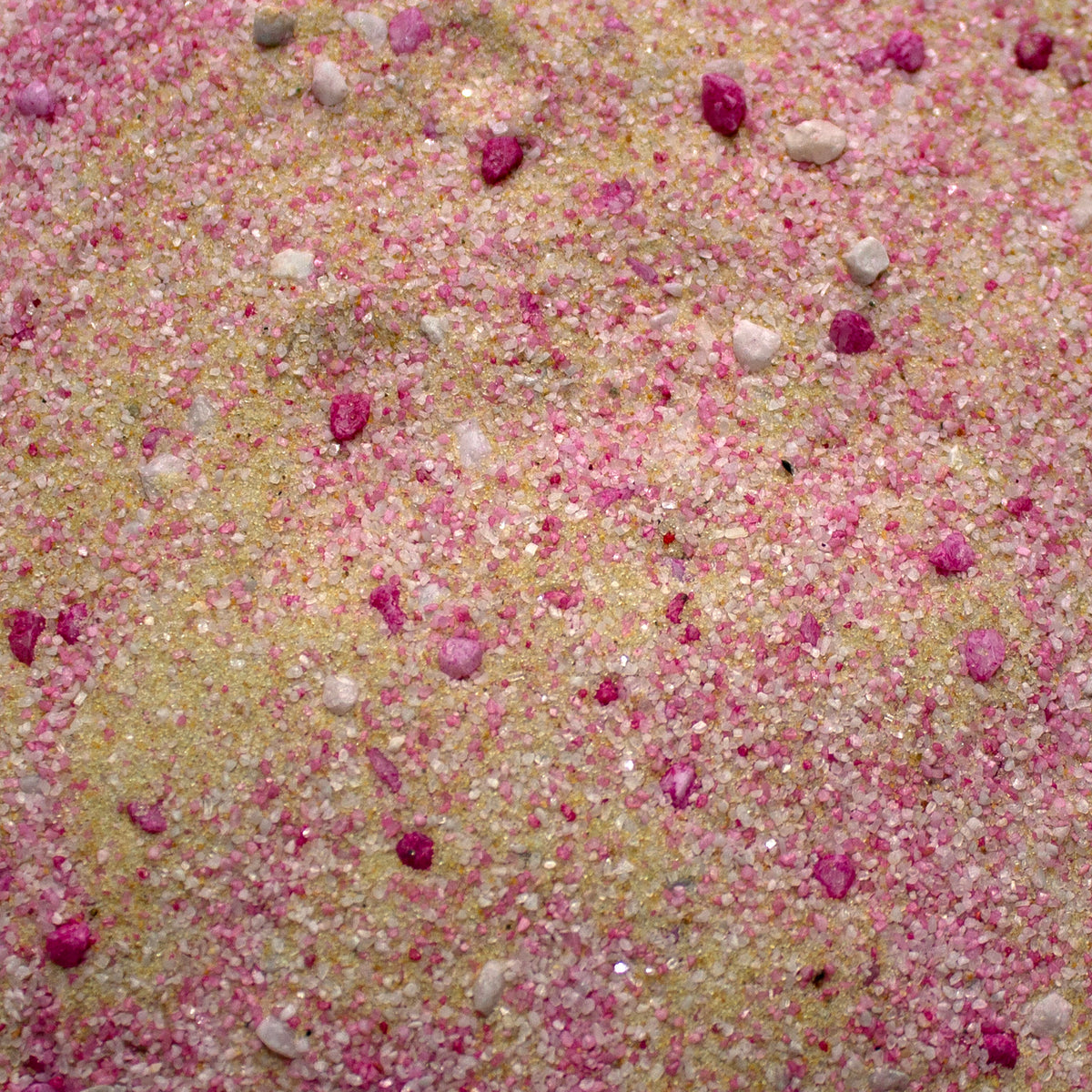 Base Ready Coral Sands — texture close-up