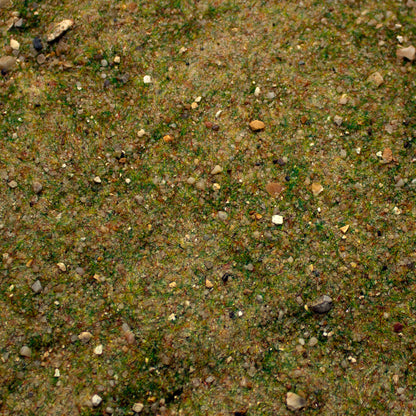 Base Ready Fields Of New Zealand — texture close-up