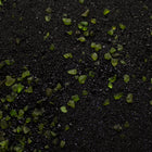 Base Ready Alien Collection Bundle | Geek Gaming Scenics - Base Ready - Geek Gaming Scenics - Geek Gaming Scenics