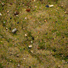 Base Ready Mediterranean Soil — texture close-up