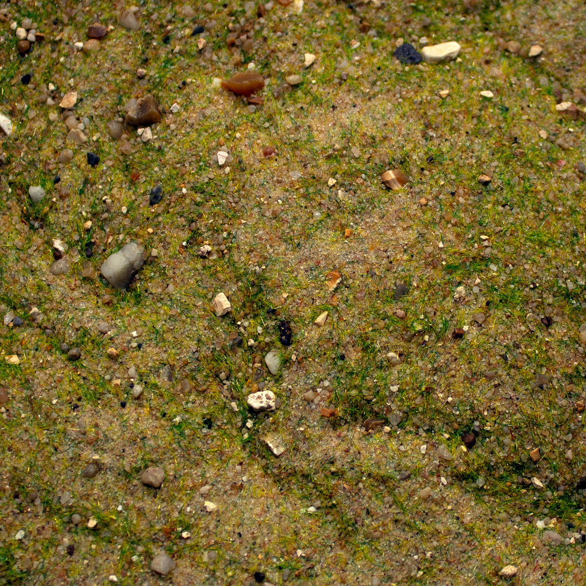 Base Ready Mediterranean Soil — texture close-up