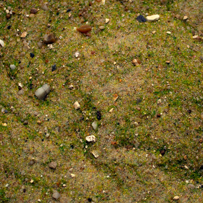 Base Ready Mediterranean Soil — texture close-up