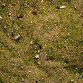 Base Ready Mediterranean Soil — texture close-up