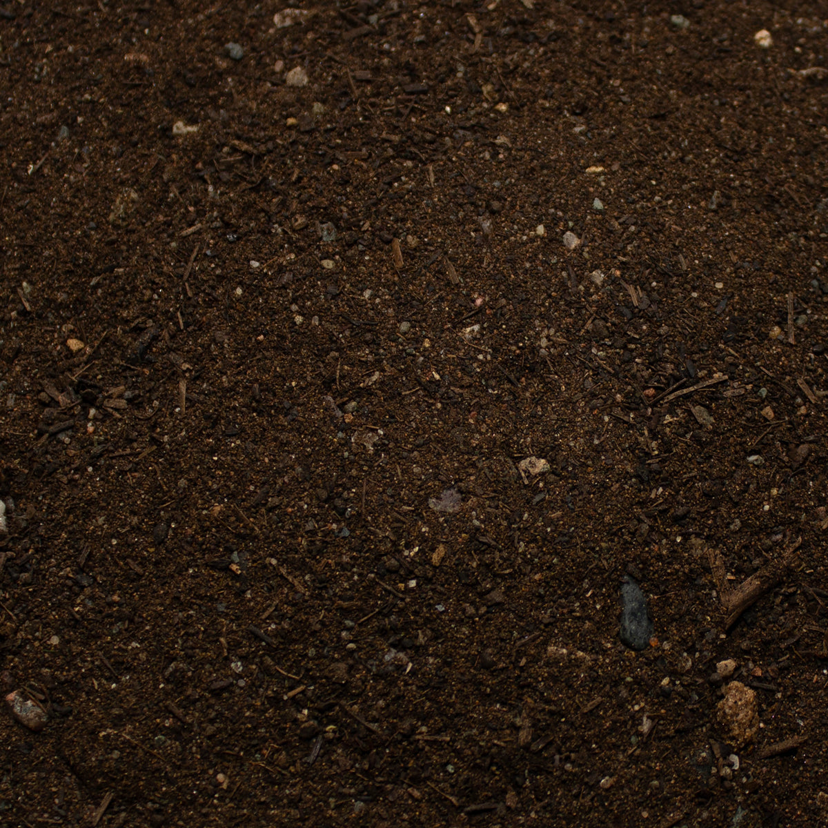 Base Ready No Man's Land — texture close-up