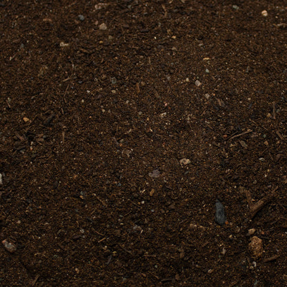 Base Ready No Man's Land — texture close-up