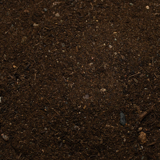 Base Ready No Man's Land — texture close-up