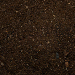 Base Ready No Man's Land — texture close-up