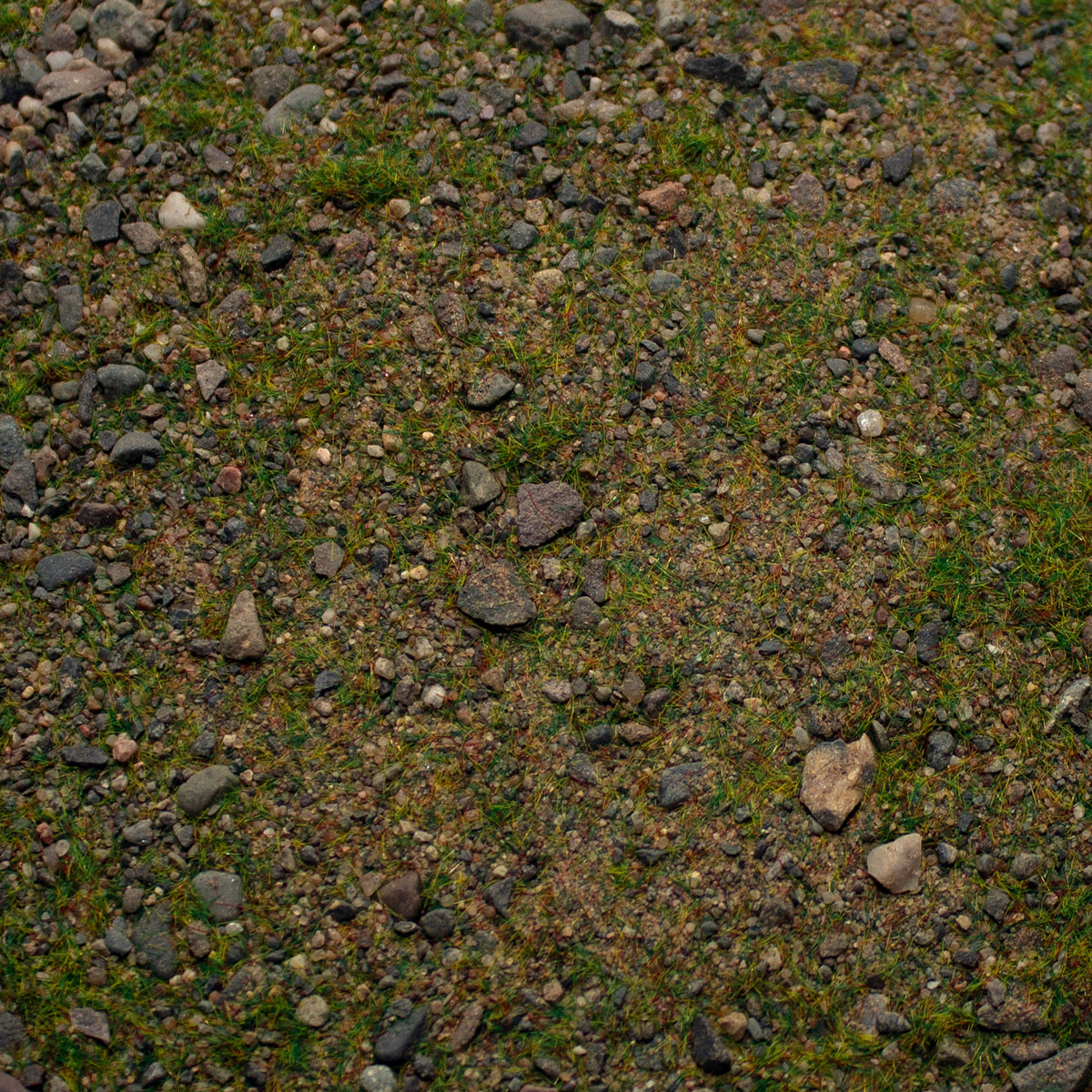 Base Ready Patchy Plains — texture close-up