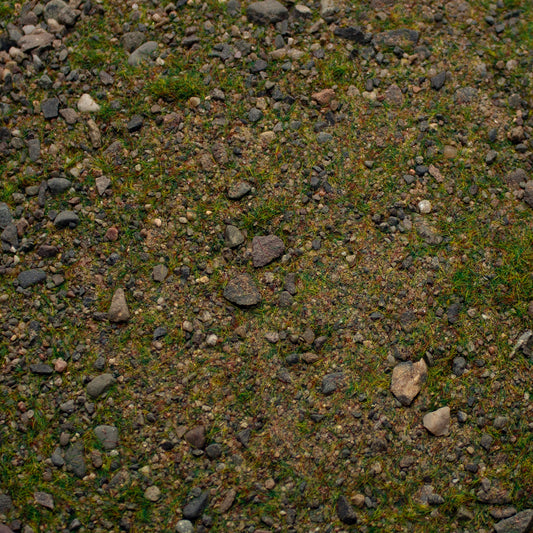 Base Ready Patchy Plains — texture close-up