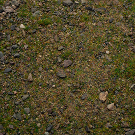 Base Ready Patchy Plains — texture close-up