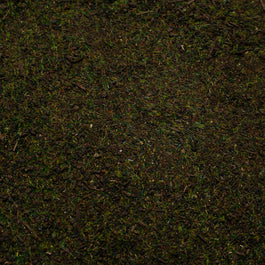 Base Ready Pine Forest Ground Cover — texture close-up