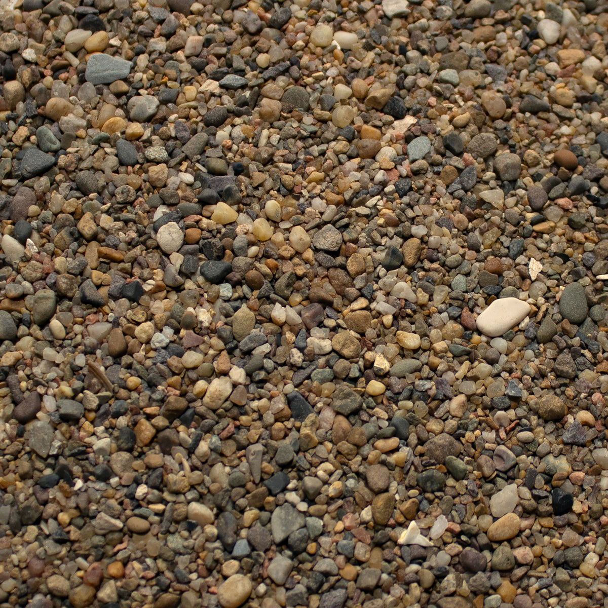 Base Ready River Bed — texture close-up