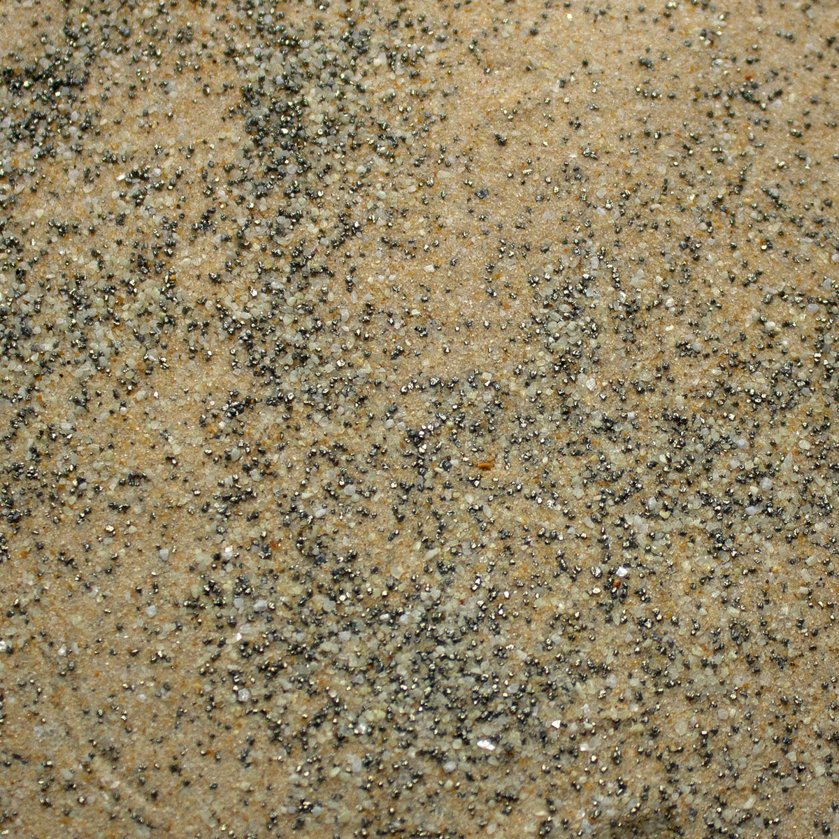 Base Ready Sand-Dune — texture close-up