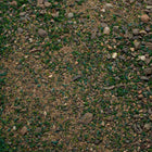 Base Ready Scrublands — texture close-up