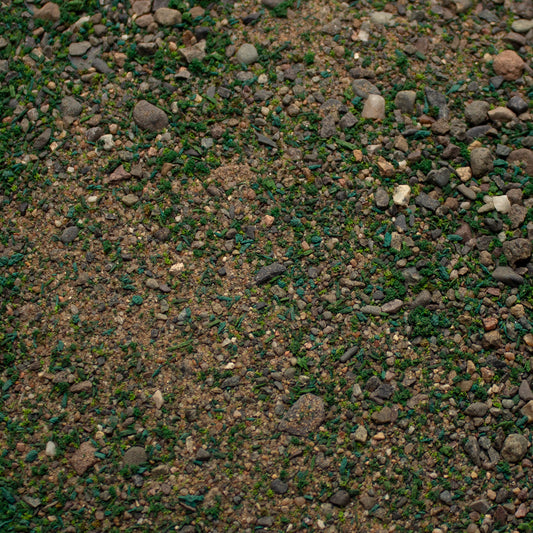 Base Ready Scrublands — texture close-up