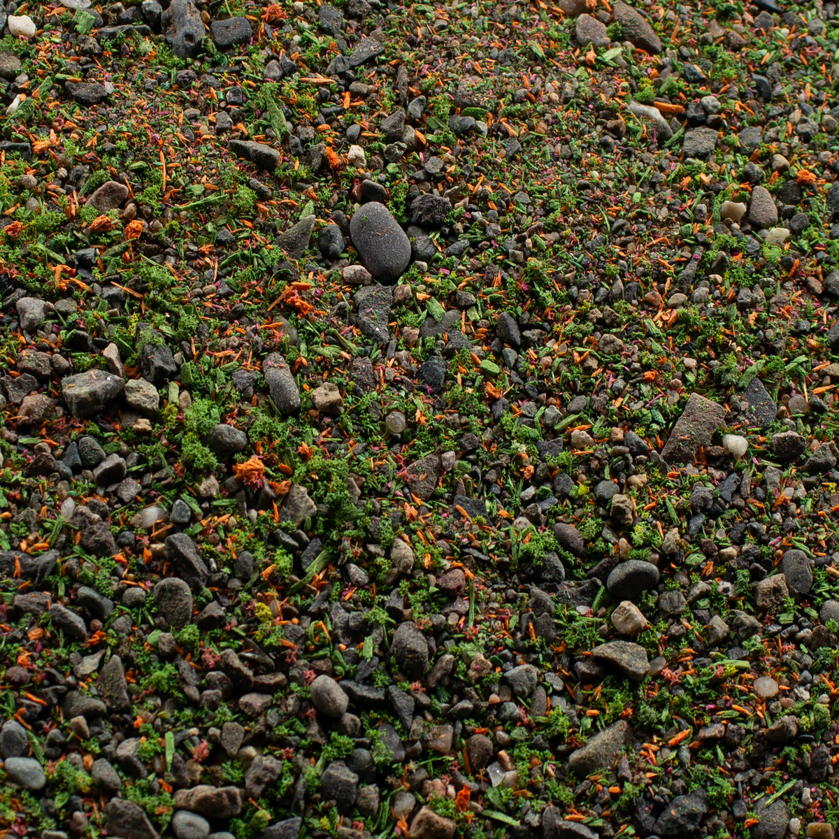 Base Ready Summer Meadow — texture close-up
