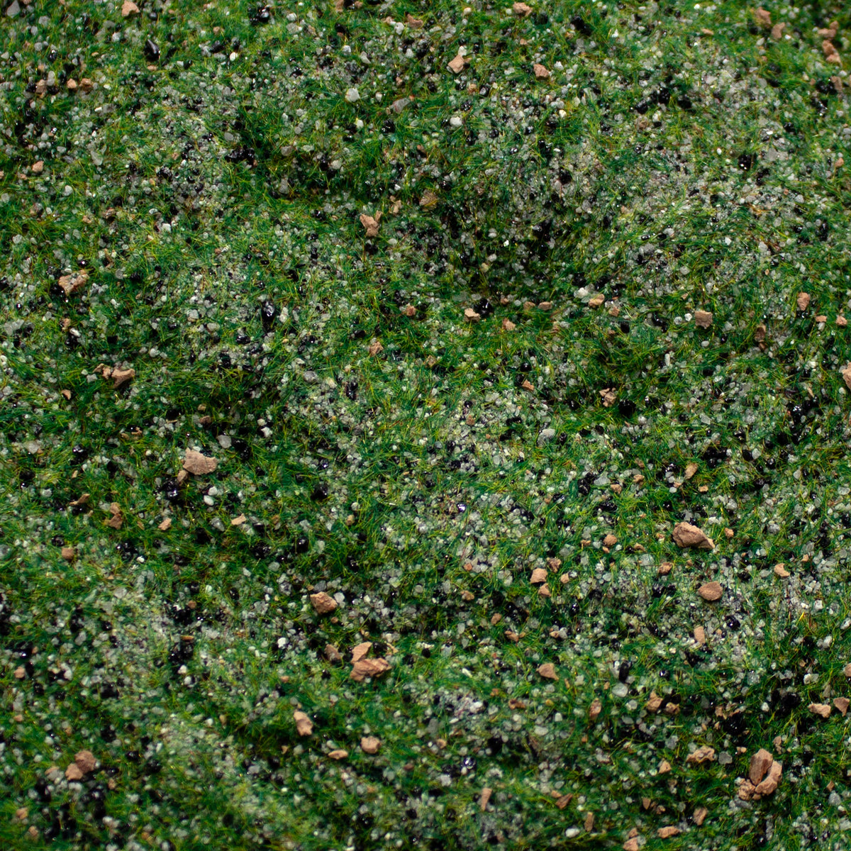 Base Ready Taiga Hillside — texture close-up