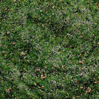 Base Ready Taiga Hillside — texture close-up