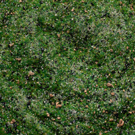 Base Ready Taiga Hillside — texture close-up