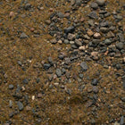 Base Ready Wasteland Soil — texture close-up