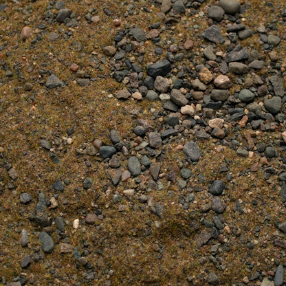 Base Ready Wasteland Soil — texture close-up